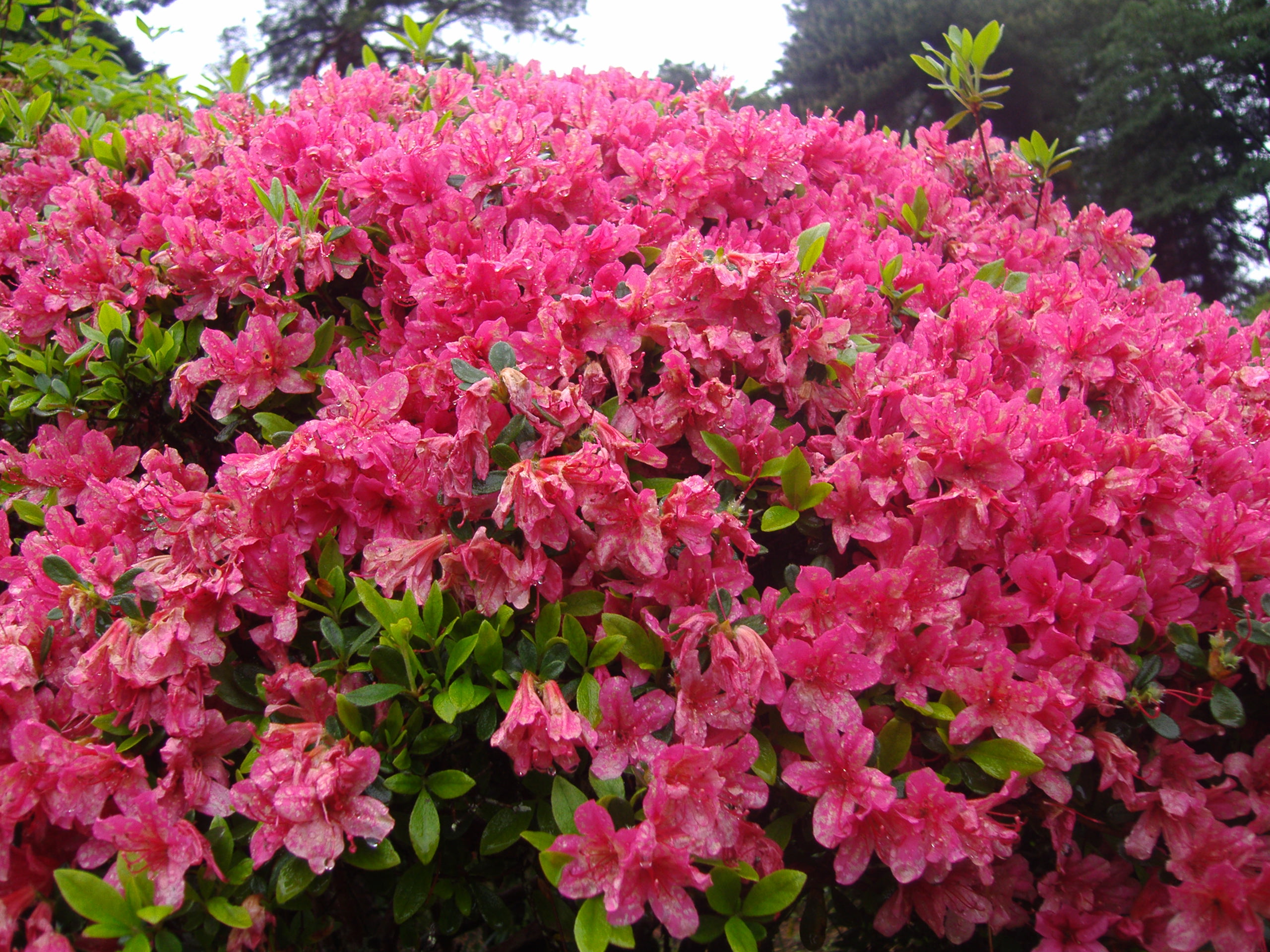 東京都青梅市に行ってきました。