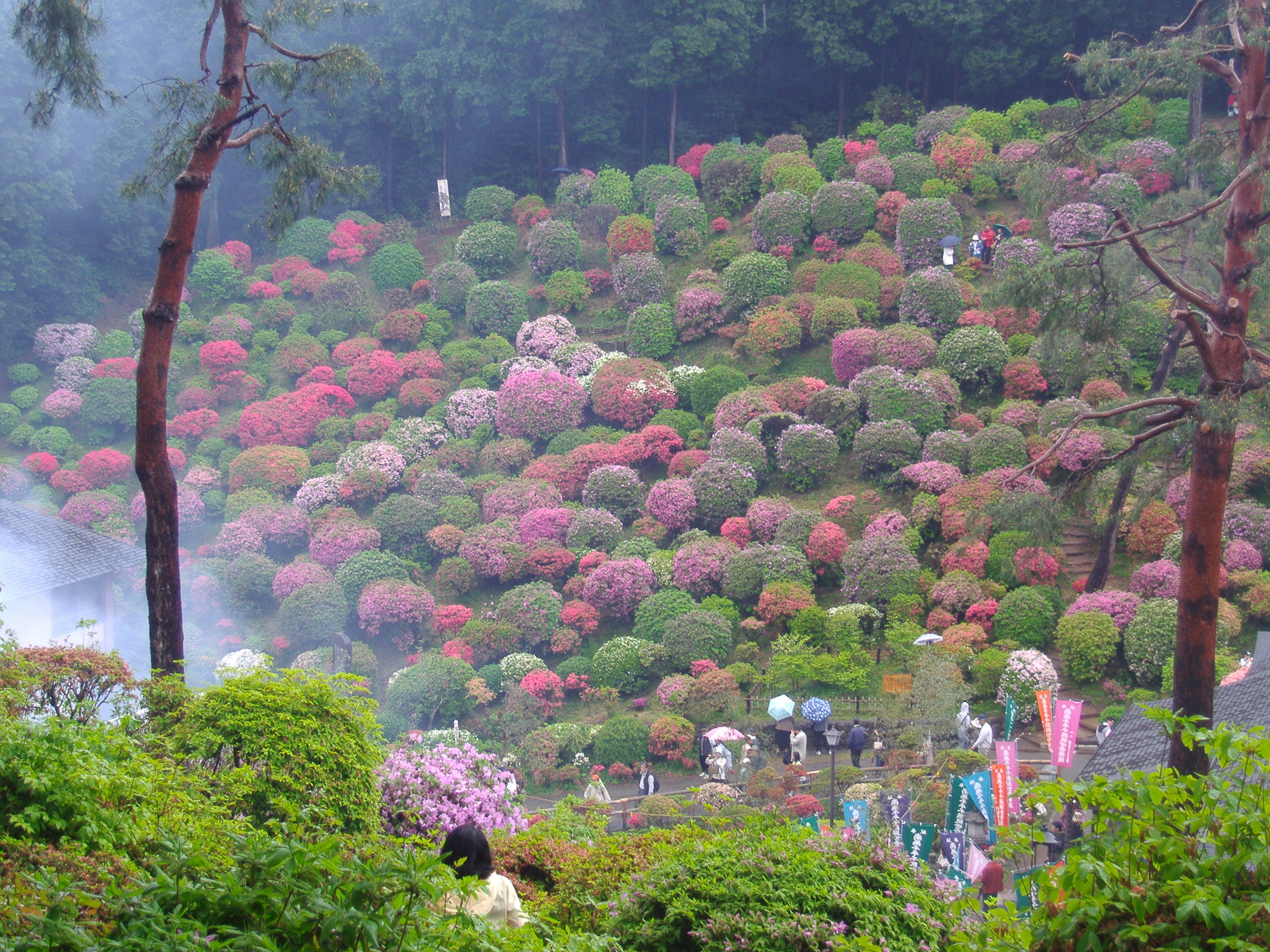 東京都青梅市に行ってきました。
