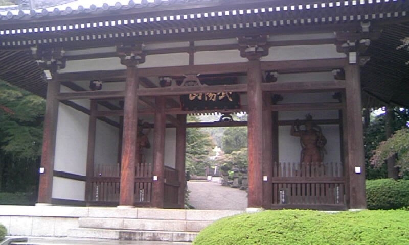 癒されます