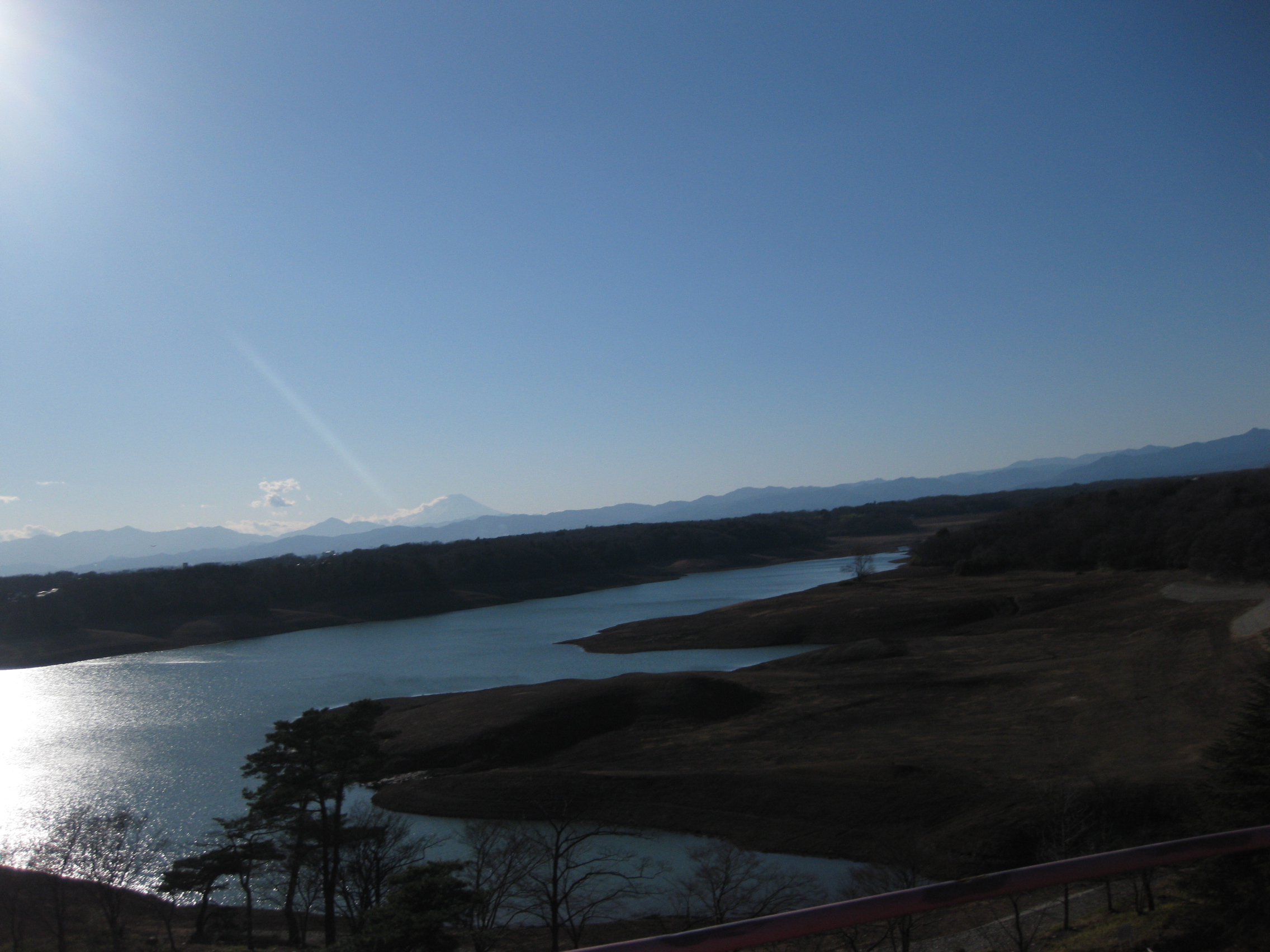 今年も宜しくお願い致します