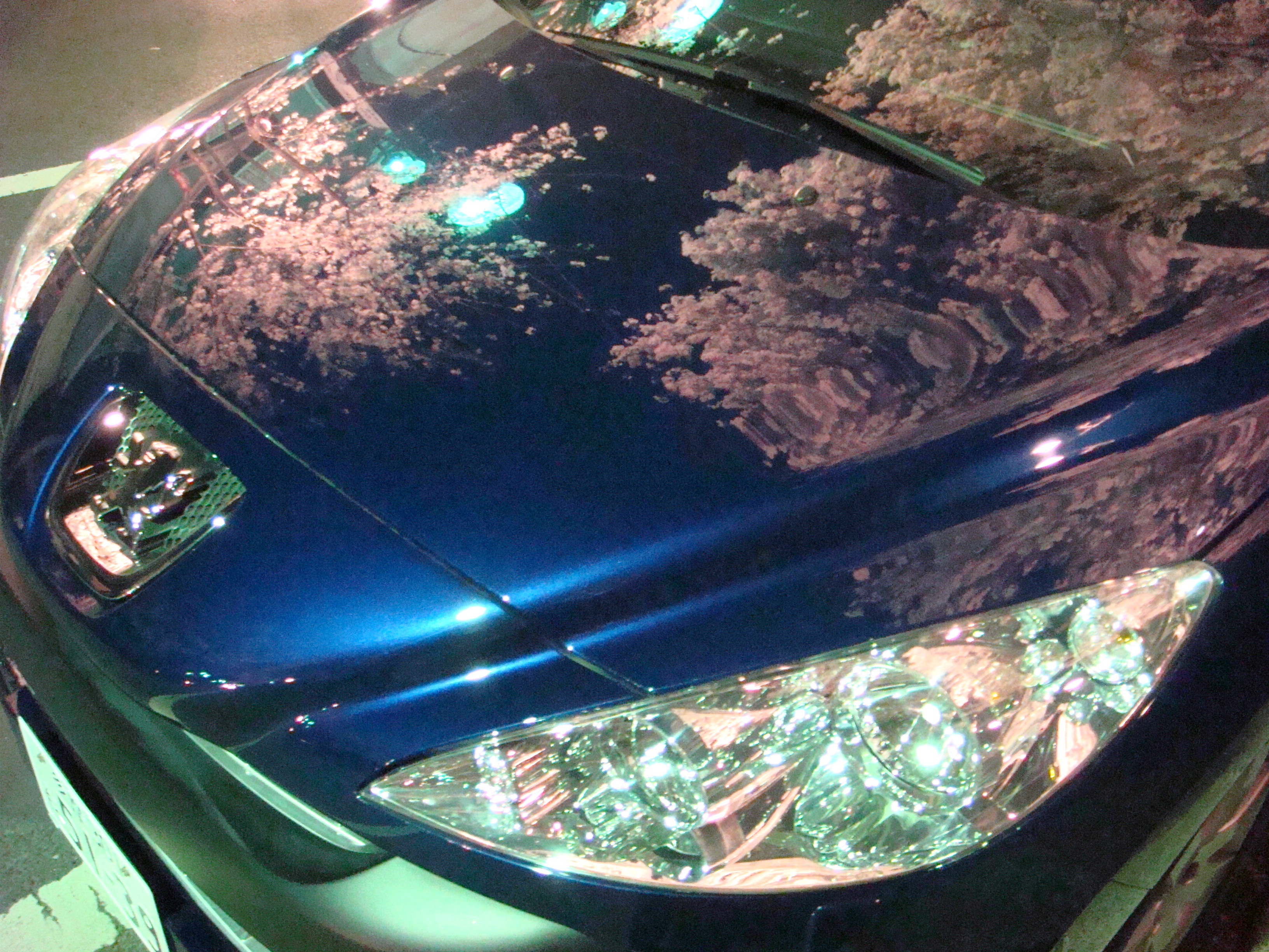 たまには見上げるだけでなく・・・