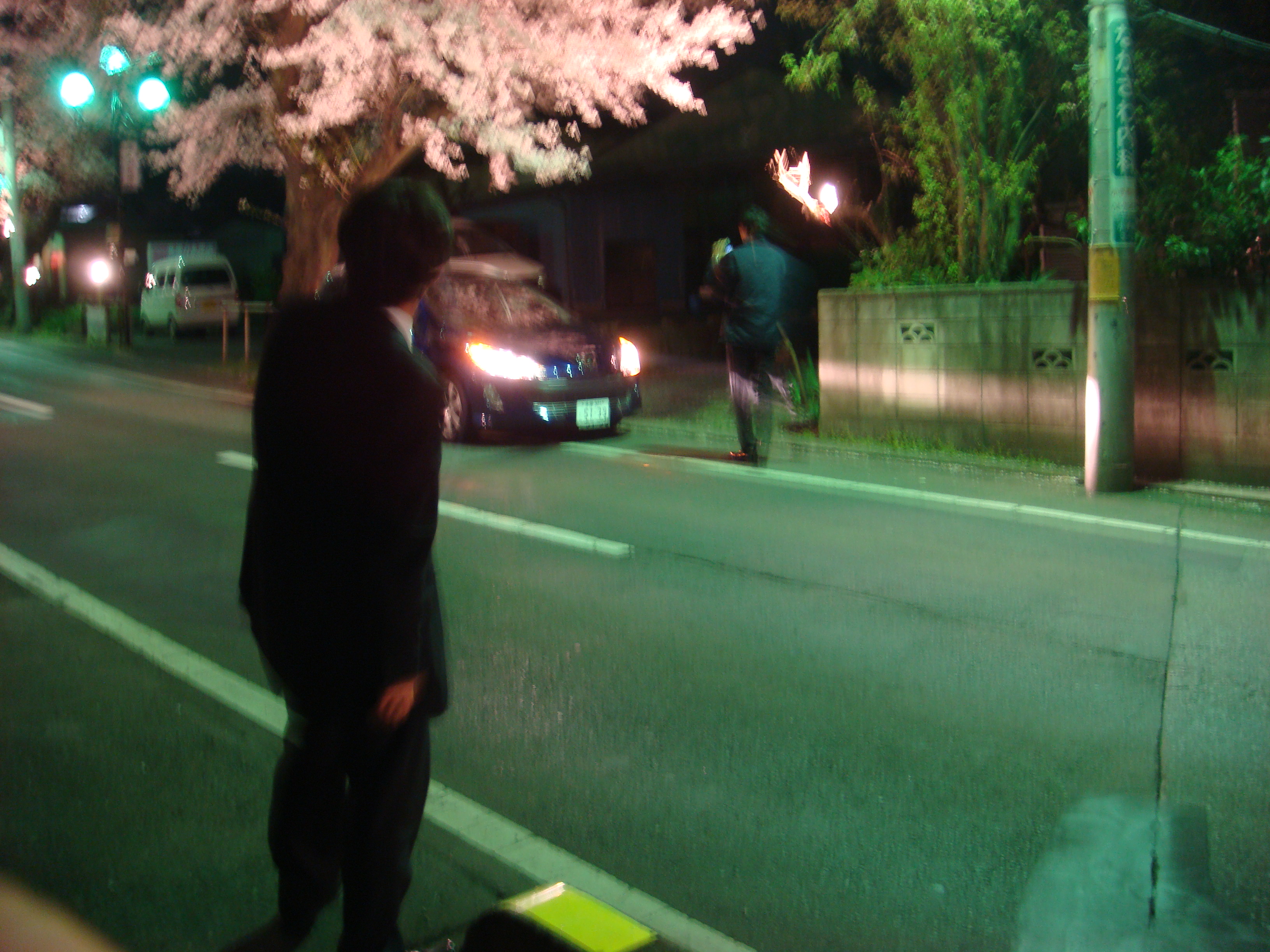 たまには見上げるだけでなく・・・