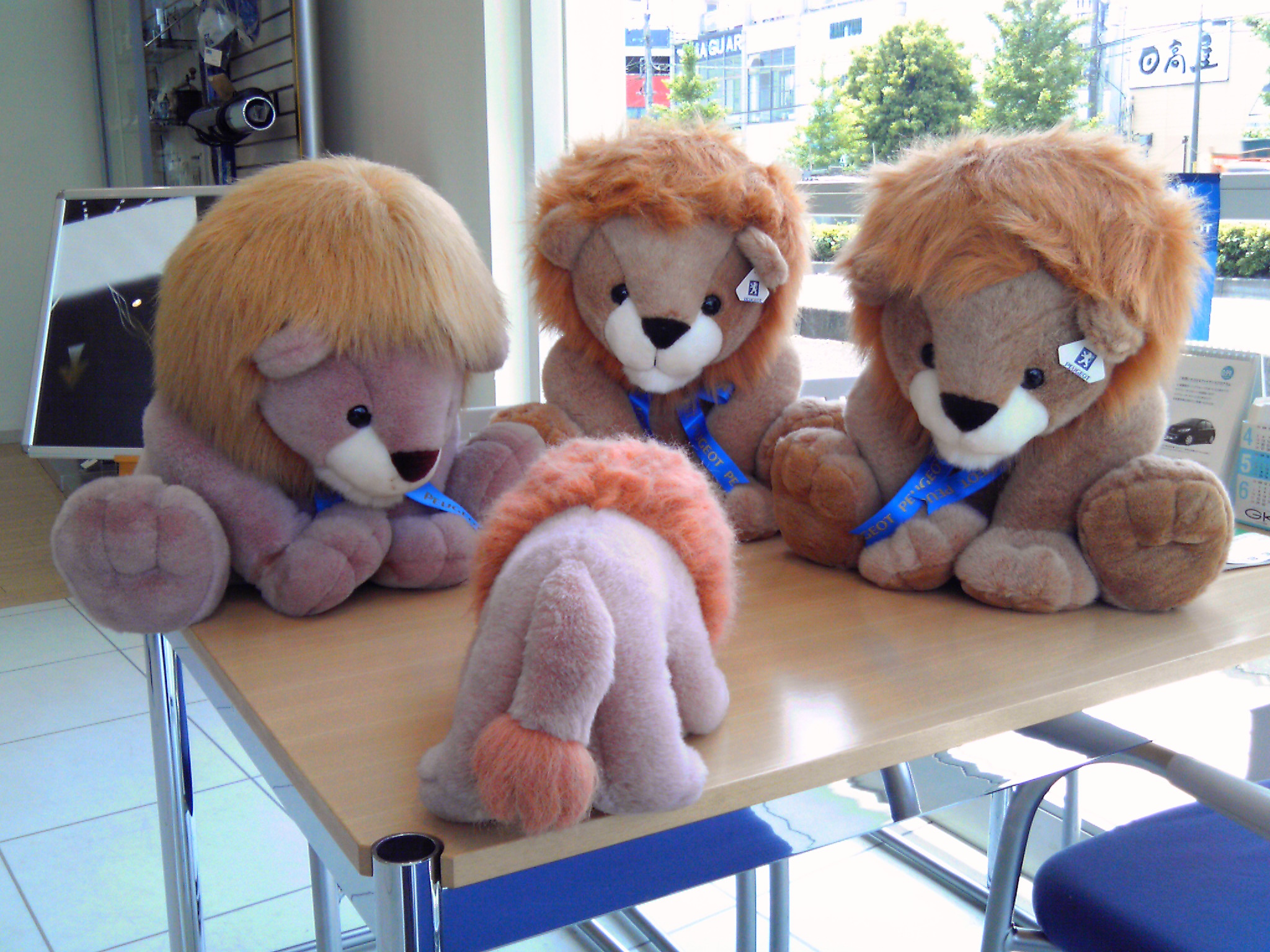 予定を変更してお送りします。