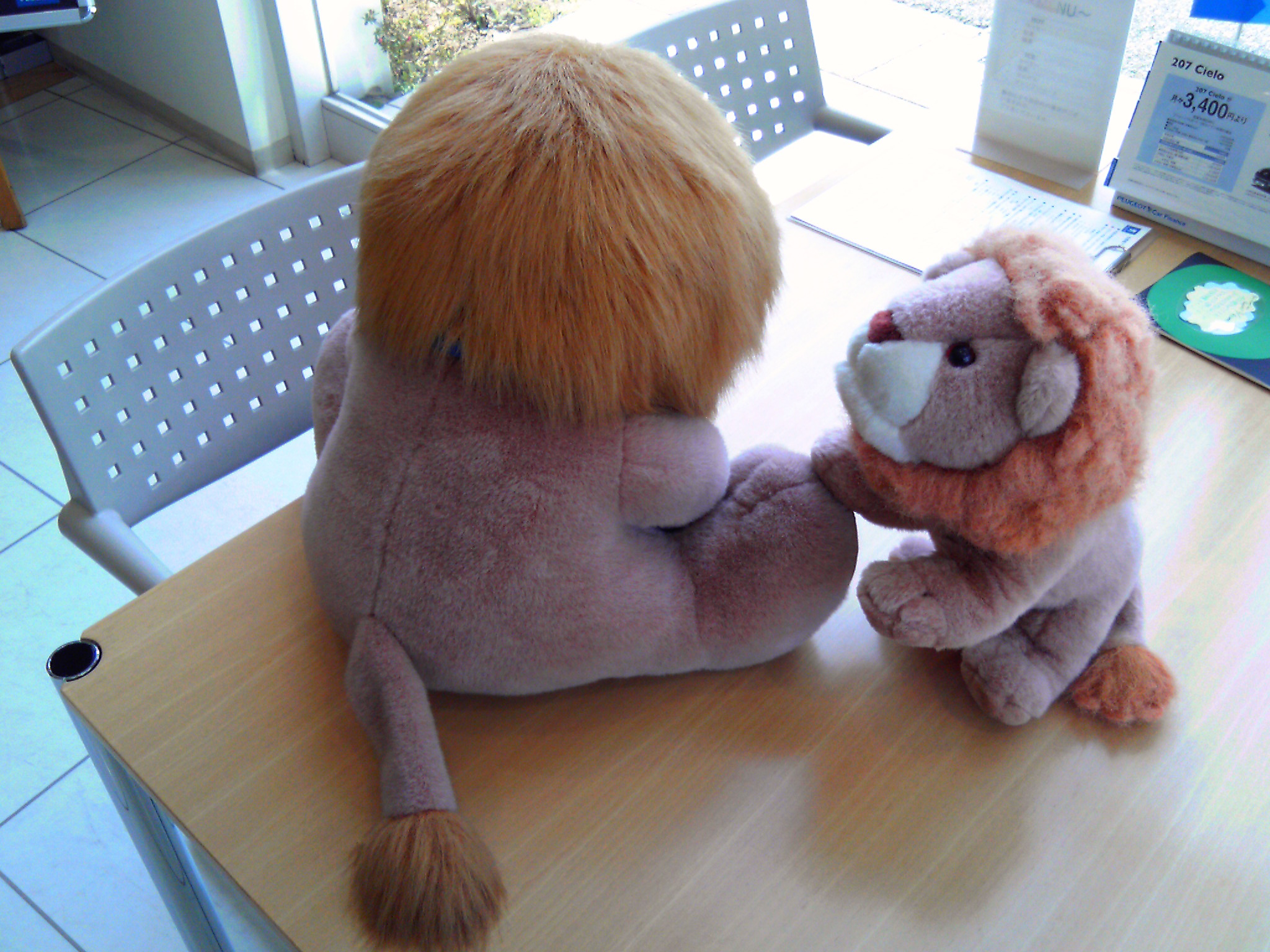 予定を変更してお送りします。