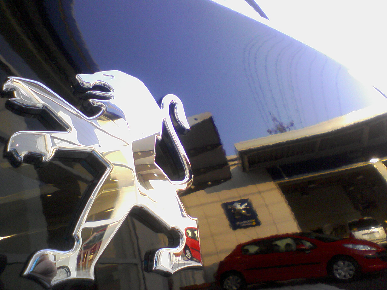 本日の所沢ショールーム　３