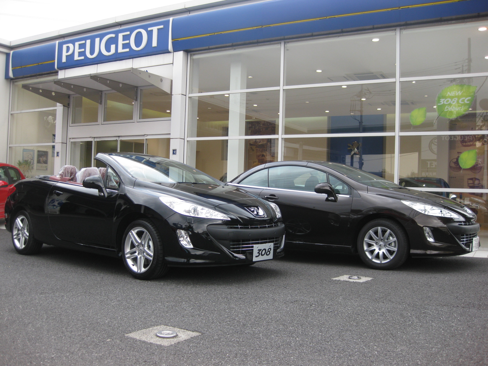 入荷してます！