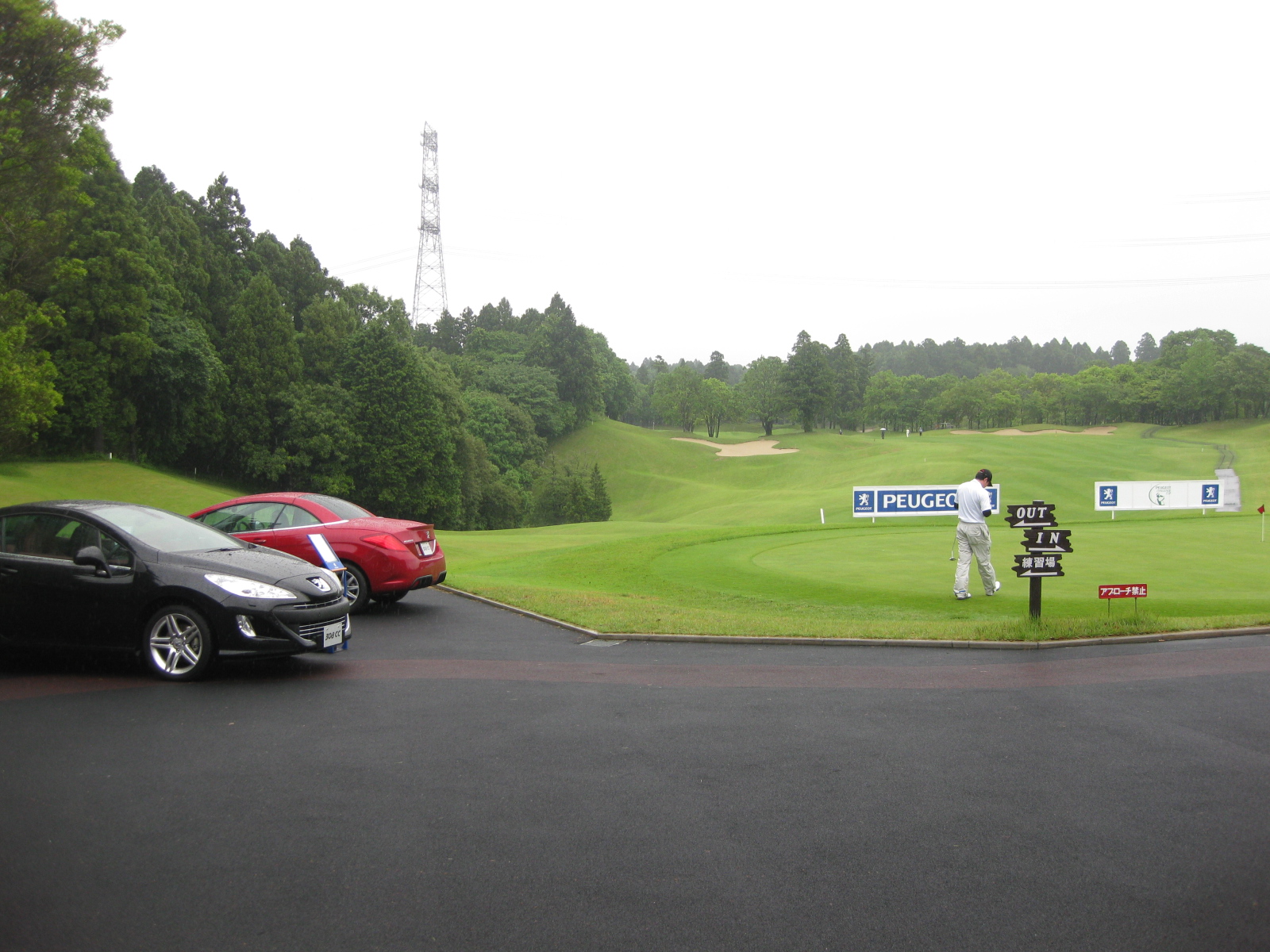 入荷してます！