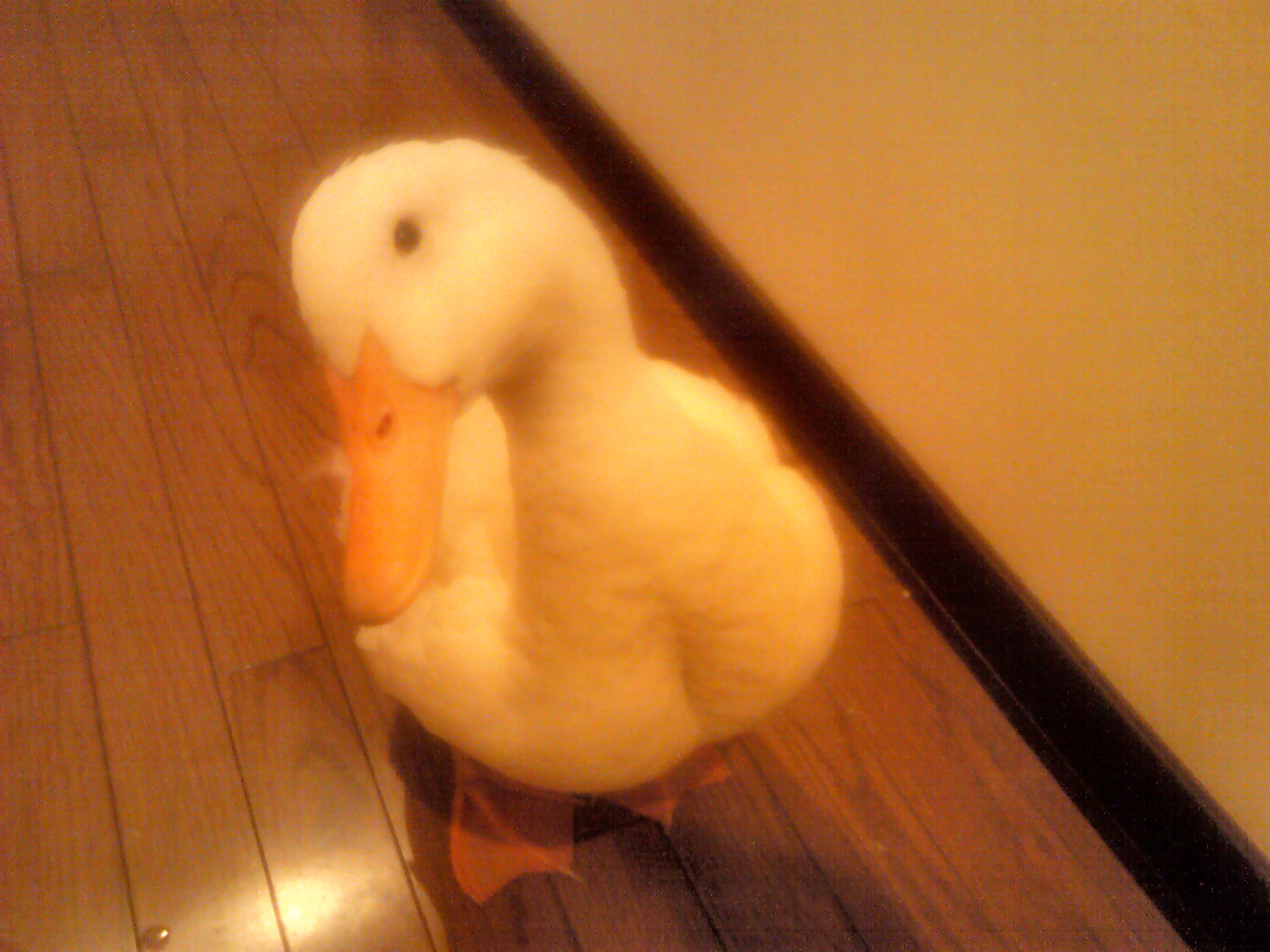 ＜番外編＞前回に続き、鳥つながりで・・・