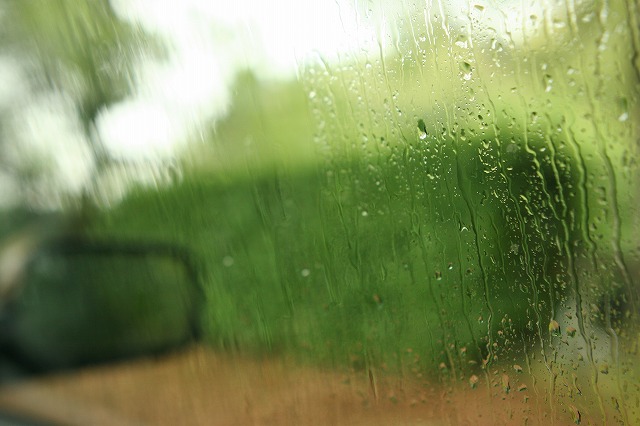 本日は大雨
