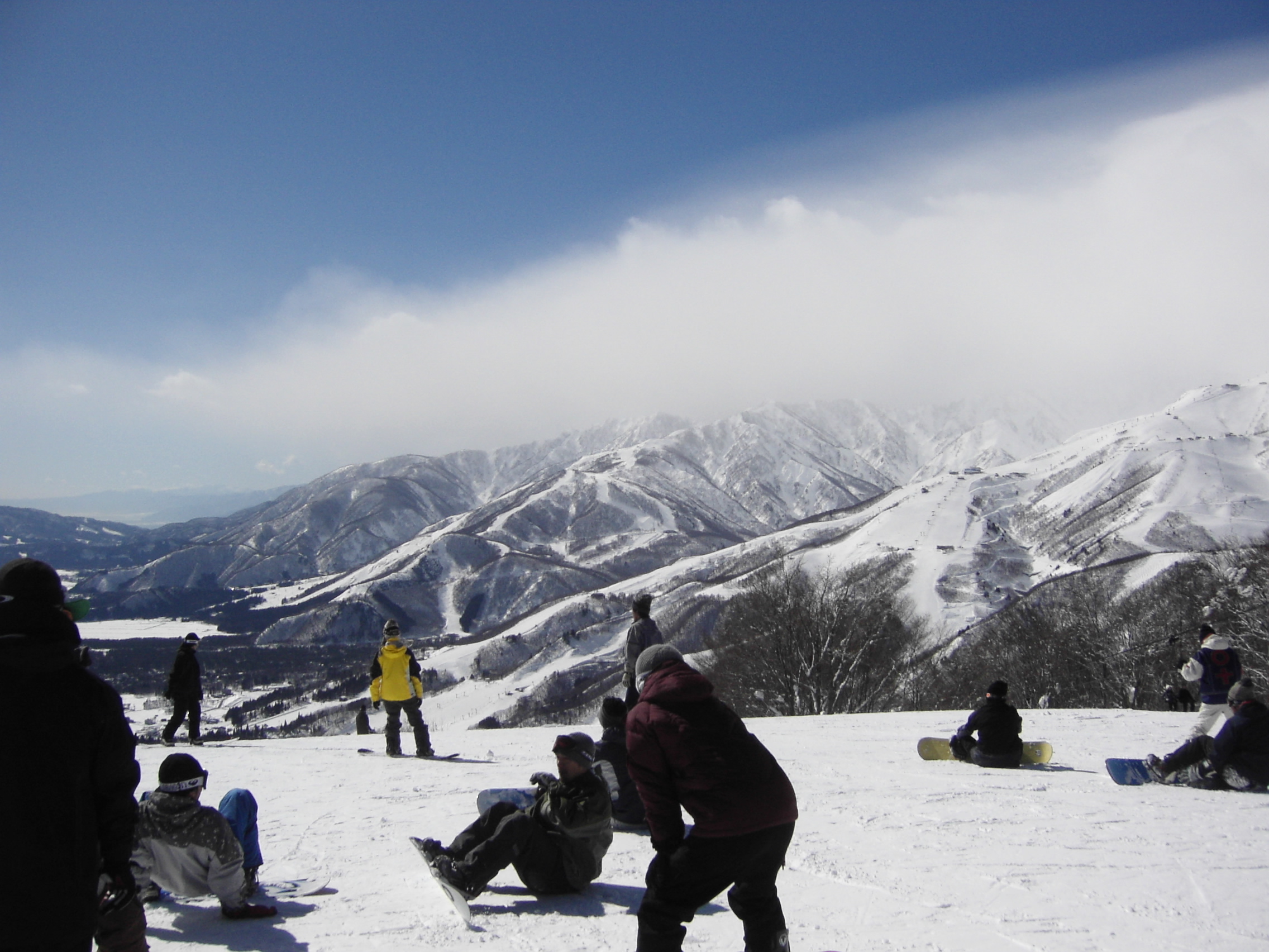 明日は休まず営業。