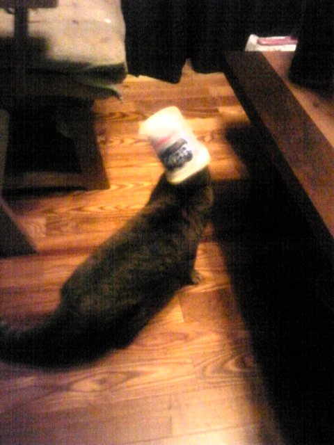 ショールーム日記