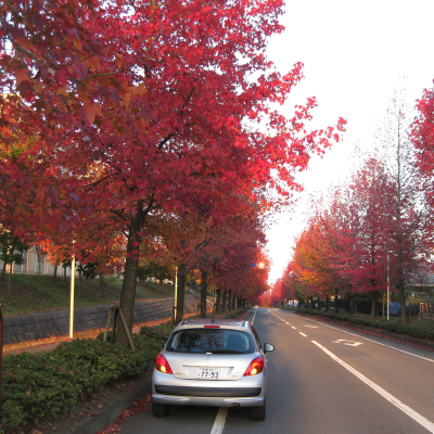 キャッチボール