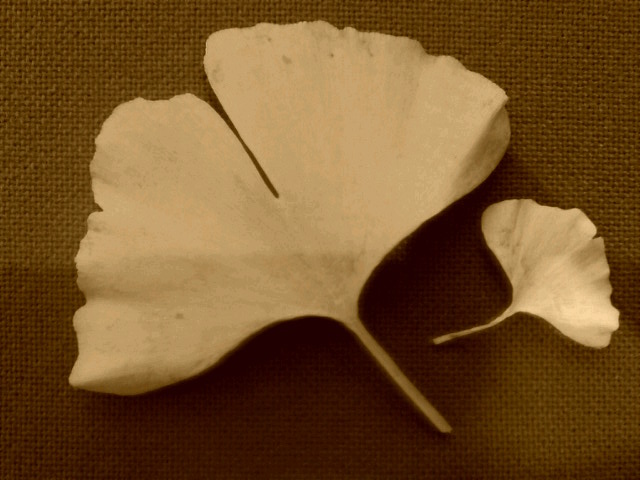 そういえば・・・