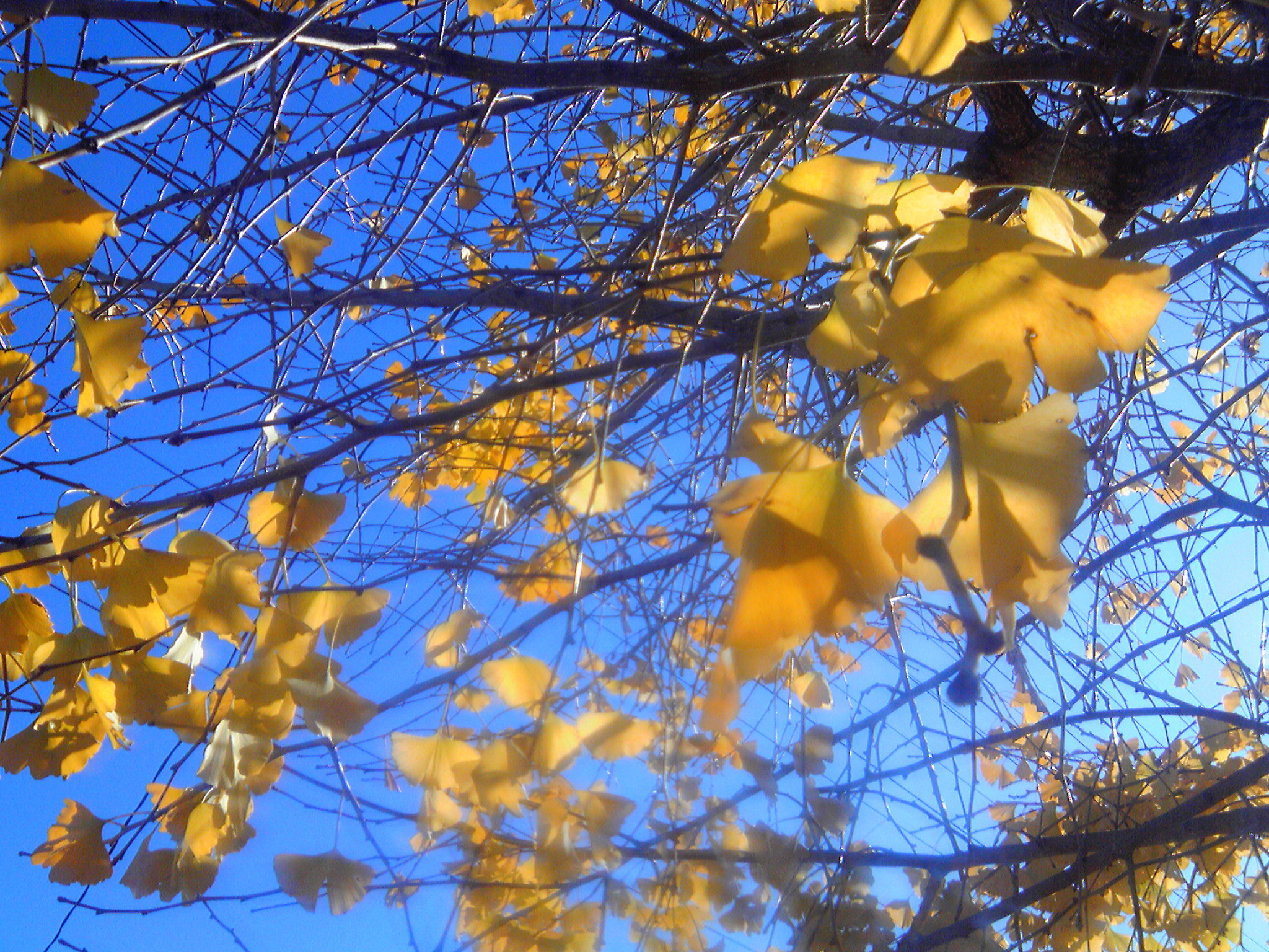 あと５７６時間