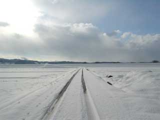 年末年始のお出掛けに間に合います！