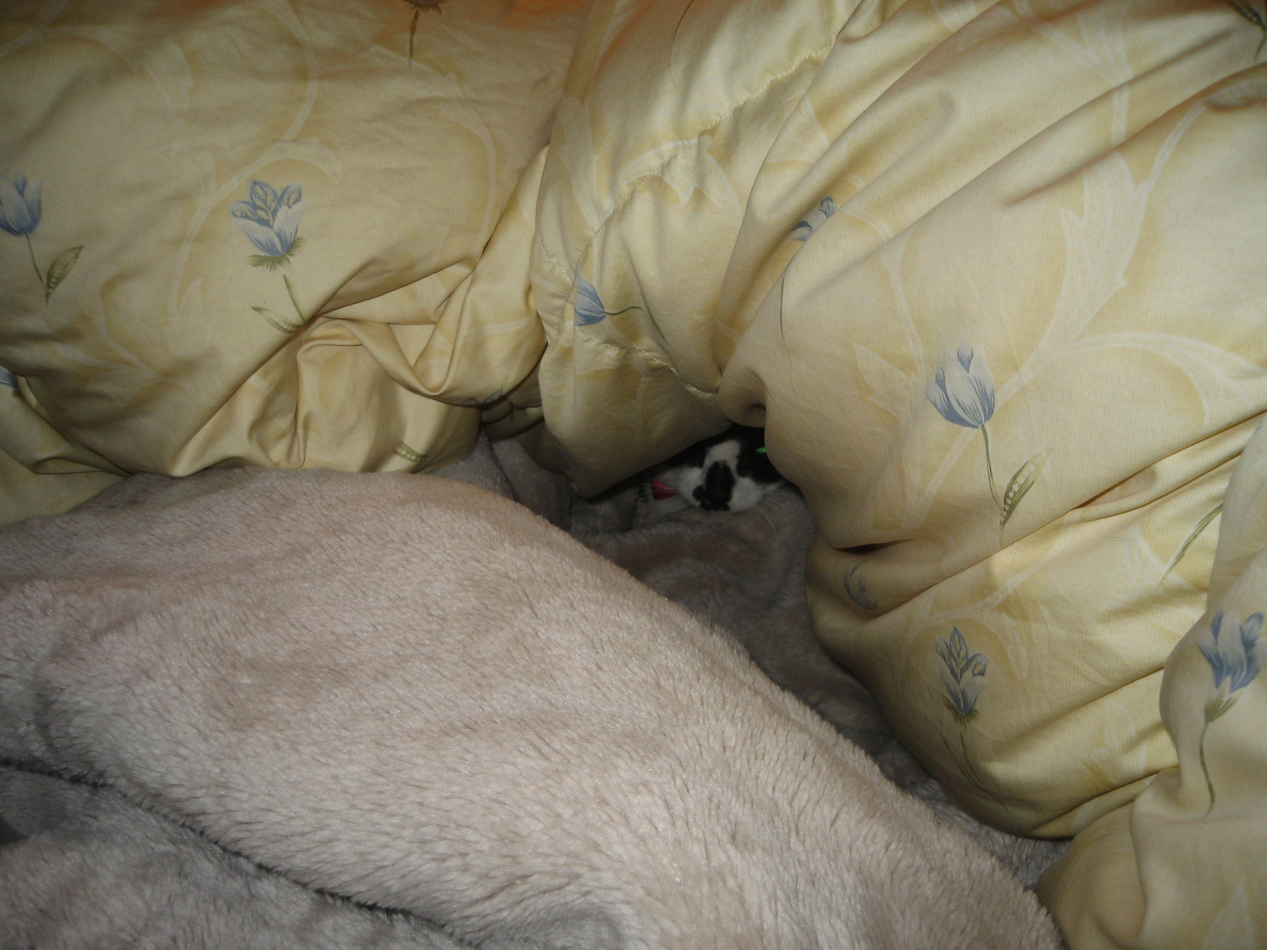 年末年始のお出掛けに間に合います！