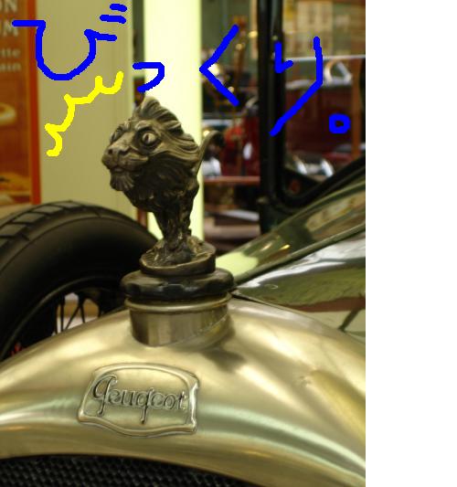 １００時間で何をしますか？