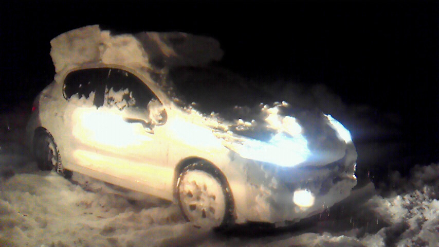 ライオンは炬燵で丸くならない