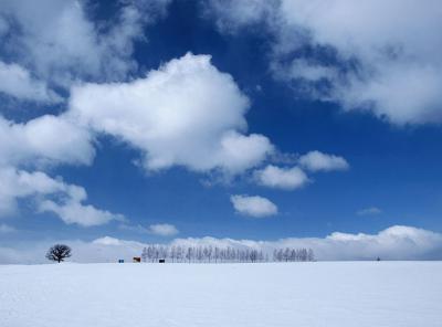 ハイテンションで見せます