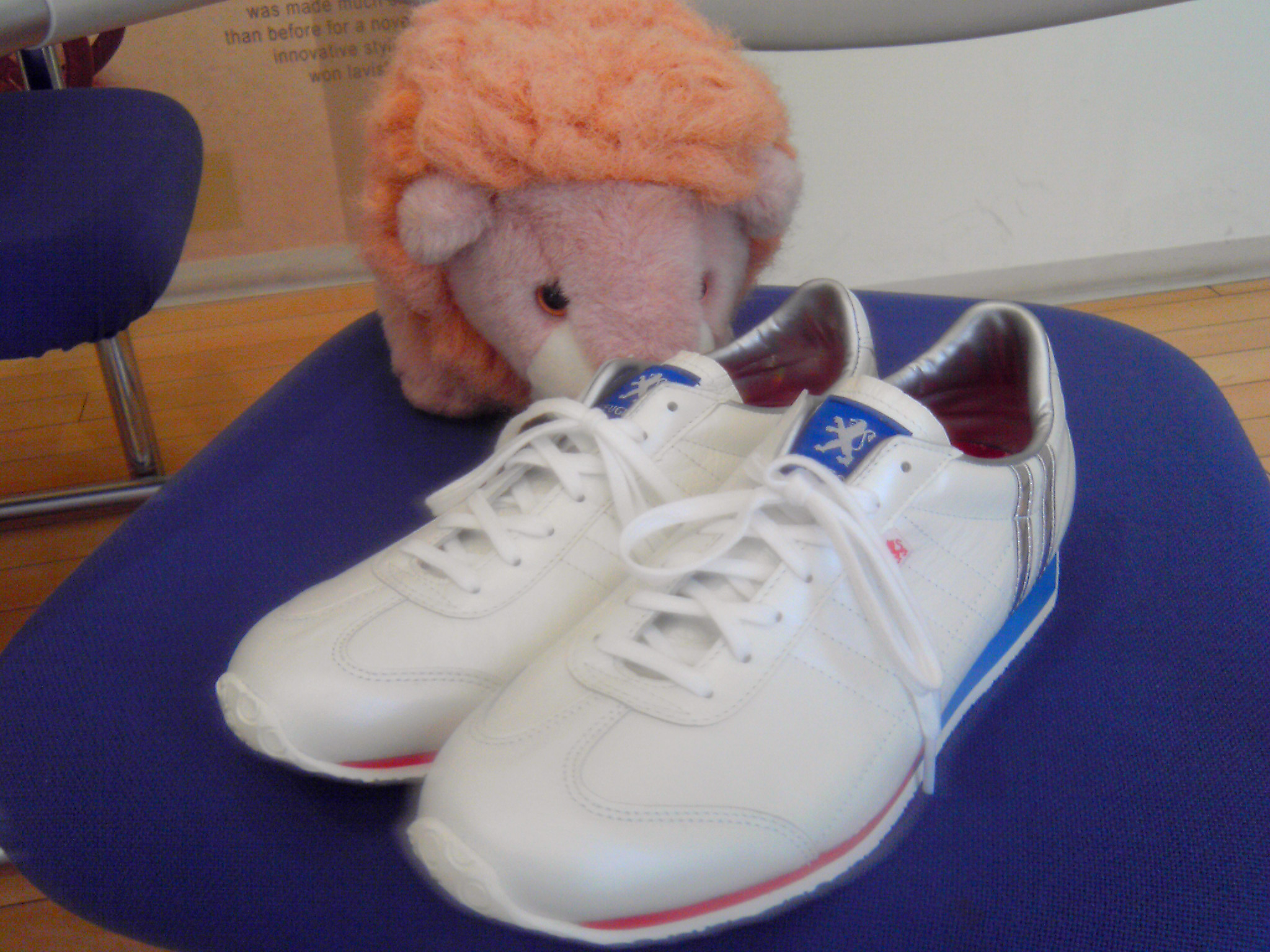 蛇足ながら、本日２回目です。