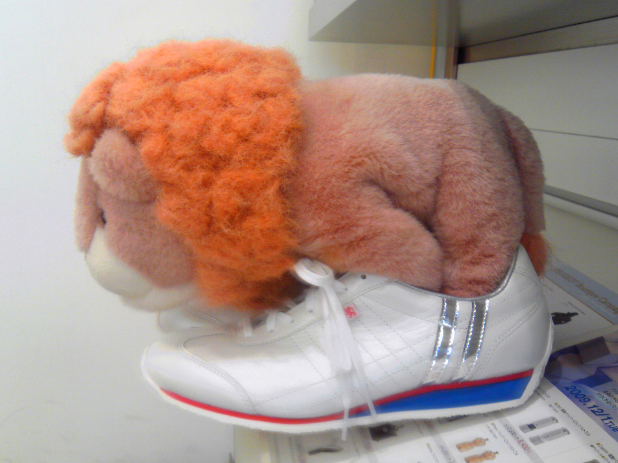 蛇足ながら、本日２回目です。