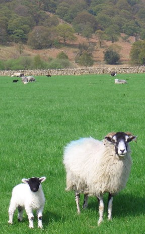 ♪は～るがき～た～♪♪