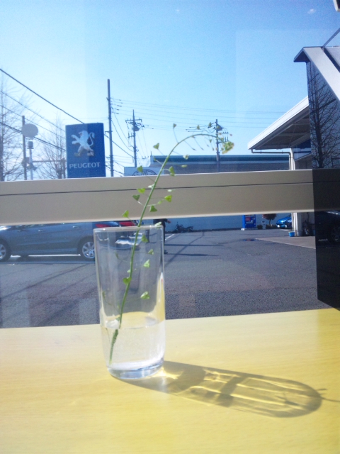 ご来店頂き有難うございました！