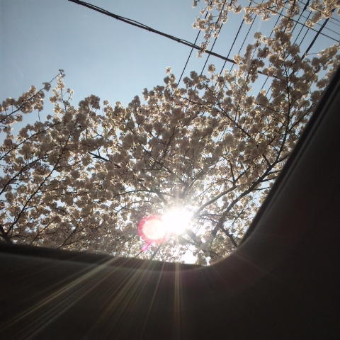 ご来店頂き有難うございました！