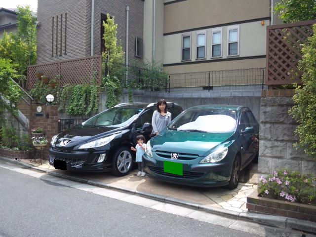 まさにネコバスです。