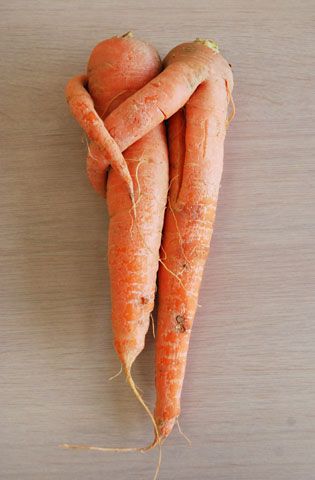 子供ってクロスオーバー?