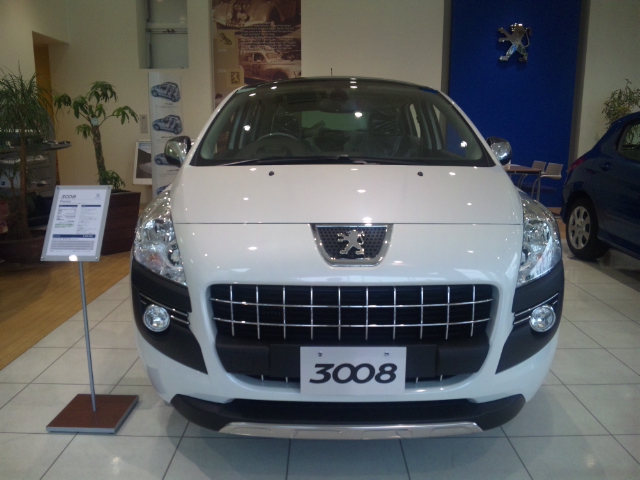 パンダ 始めました。