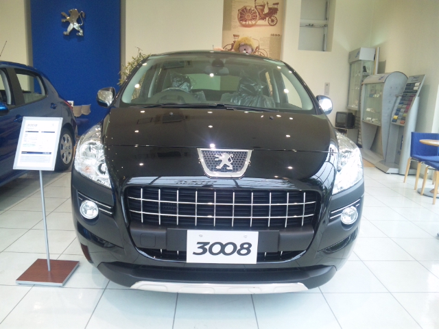 パンダ 始めました。