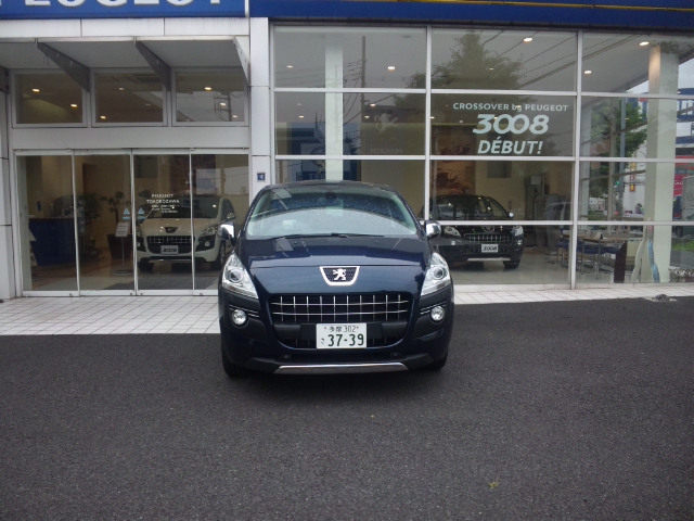 パンダ 始めました。