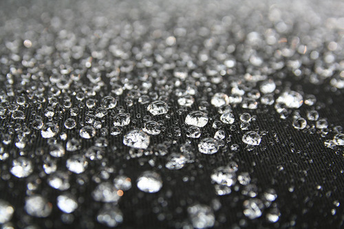 夢から覚めて日本は梅雨