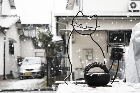 決算大商談会 ～いつか買うなら『今がお得』～