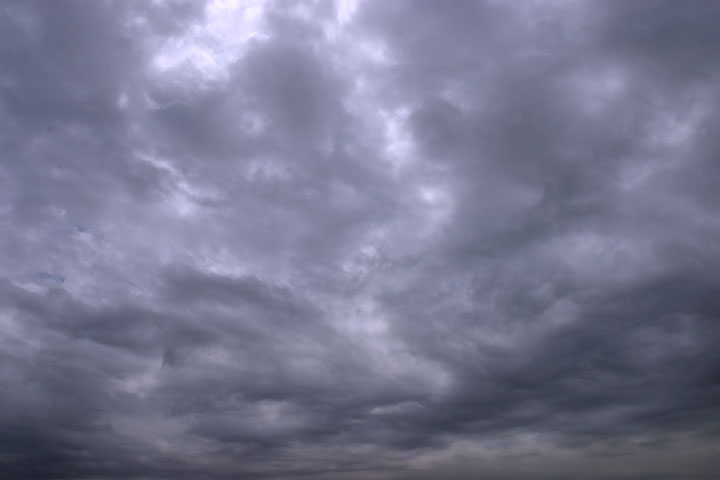 季節は移り・・・