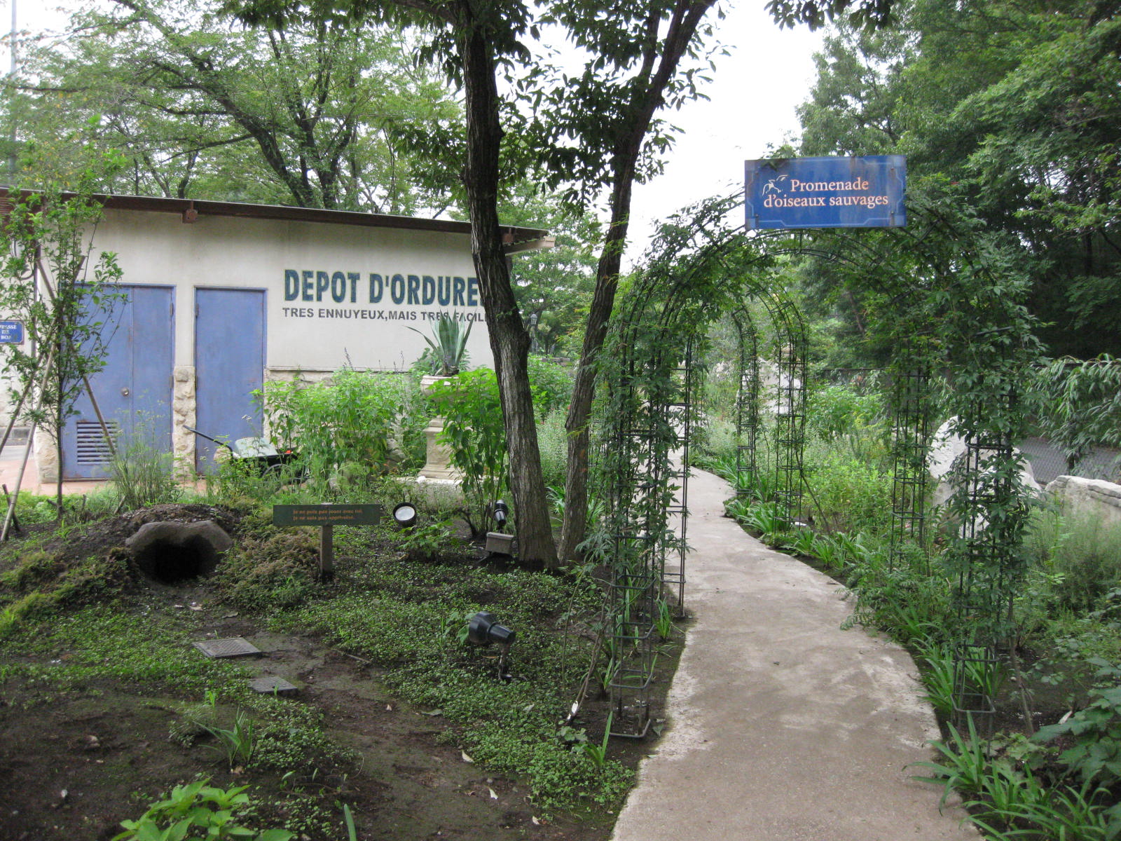 近場でおフランス