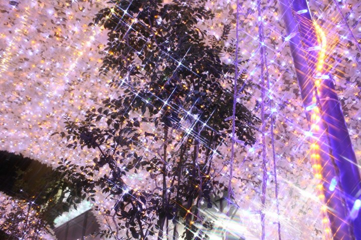 年末！！いろいろ楽しみませんか？