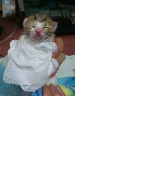 忙しくしている方へ