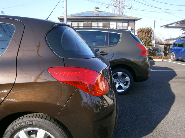 気になる色　『モカ』　『ヒッコリー』実車で比較