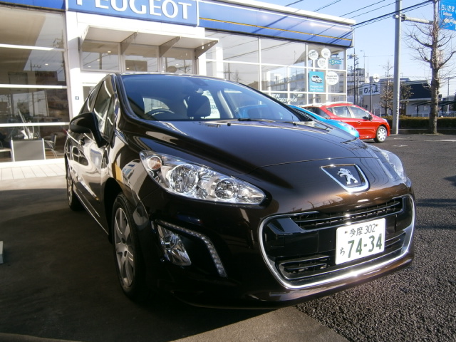 気になる色　『モカ』　『ヒッコリー』実車で比較