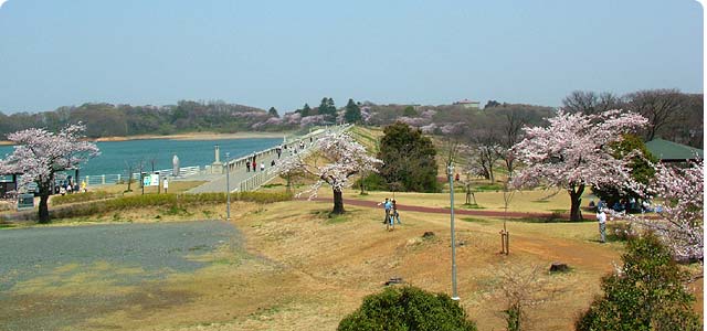 試乗コースを散策 『 狭山湖編 』