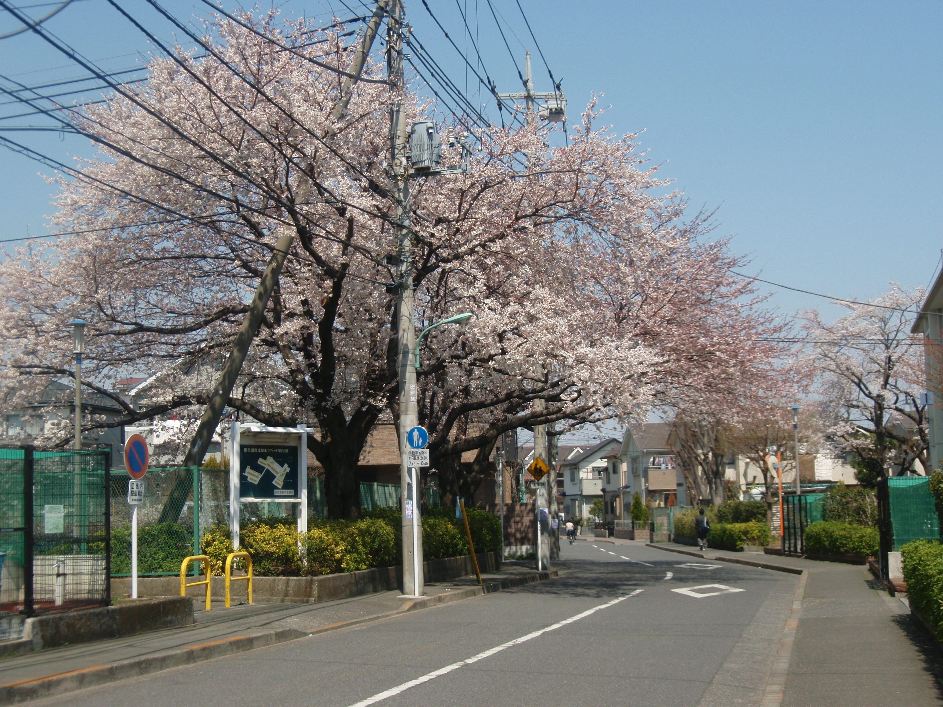 暖かくなってきました