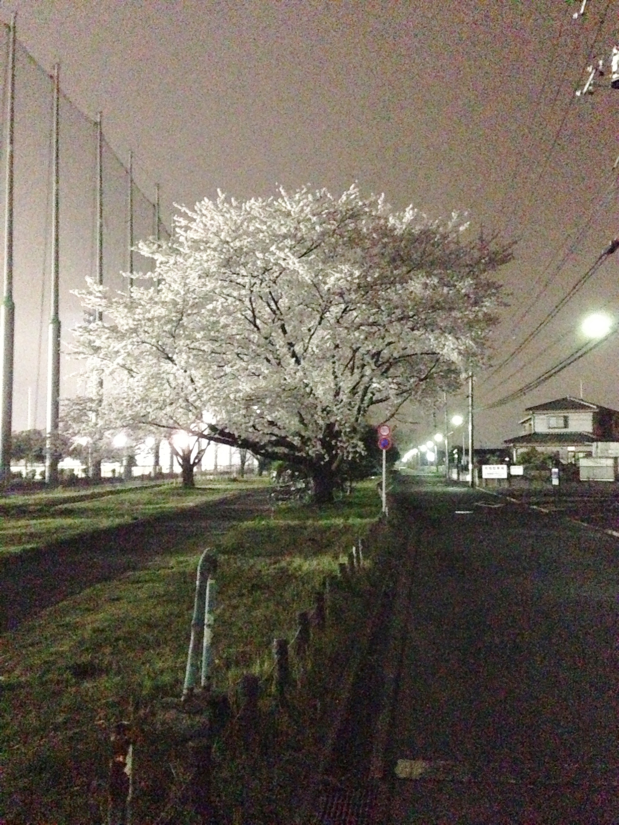 春
