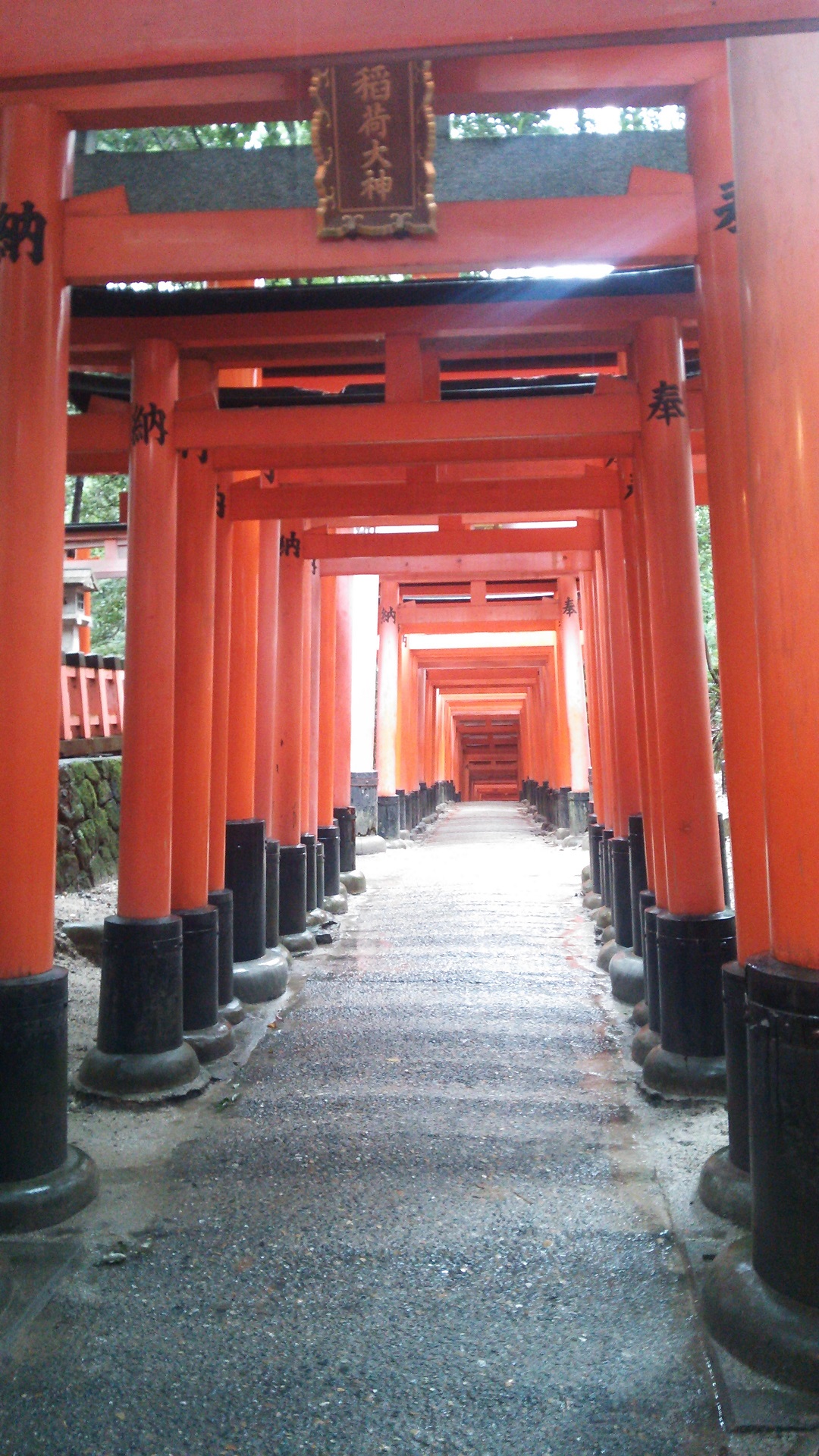 そうだ京都に行こう　ｐａｒｔ 1