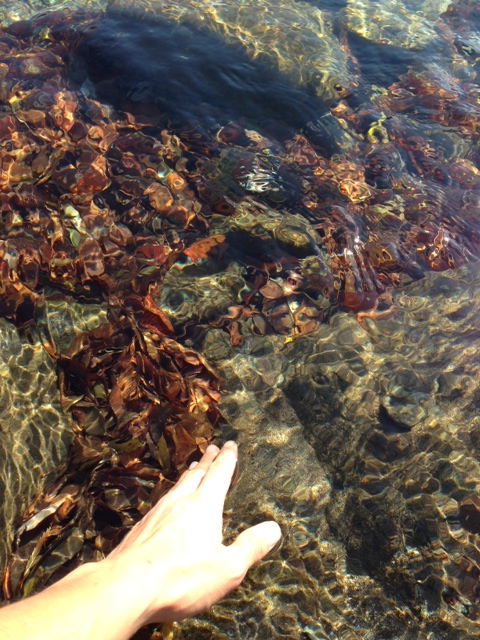 紅葉まつり　in　山中湖