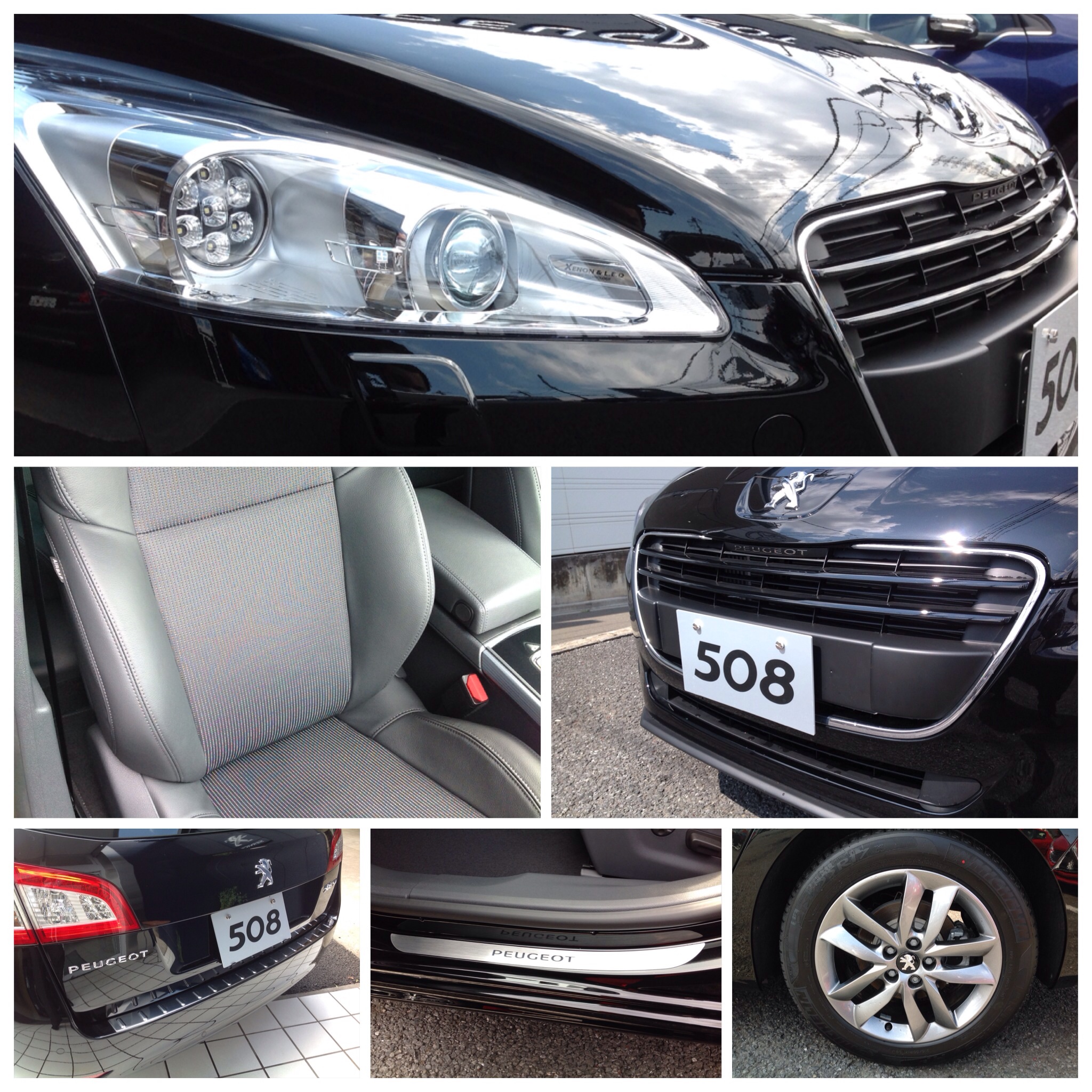 508SW Premium 入荷