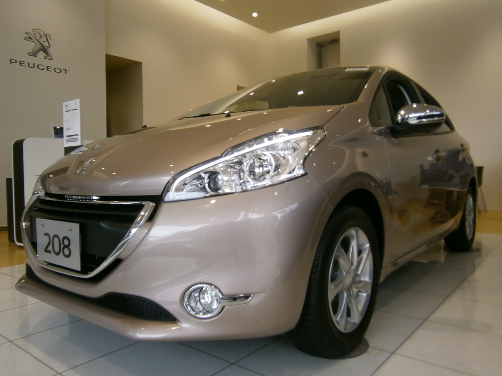 『 ２０８ envy 』　入荷しました！　写真も多数掲載！