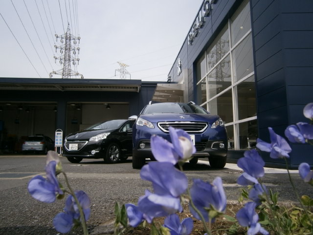 ＧＷも終わり、通常営業に戻りました！