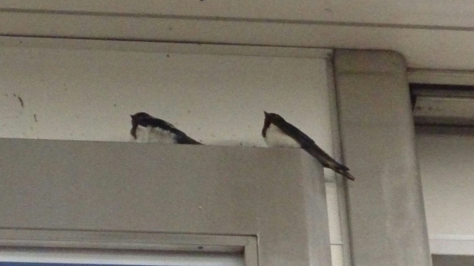 雷轟く相模湾！